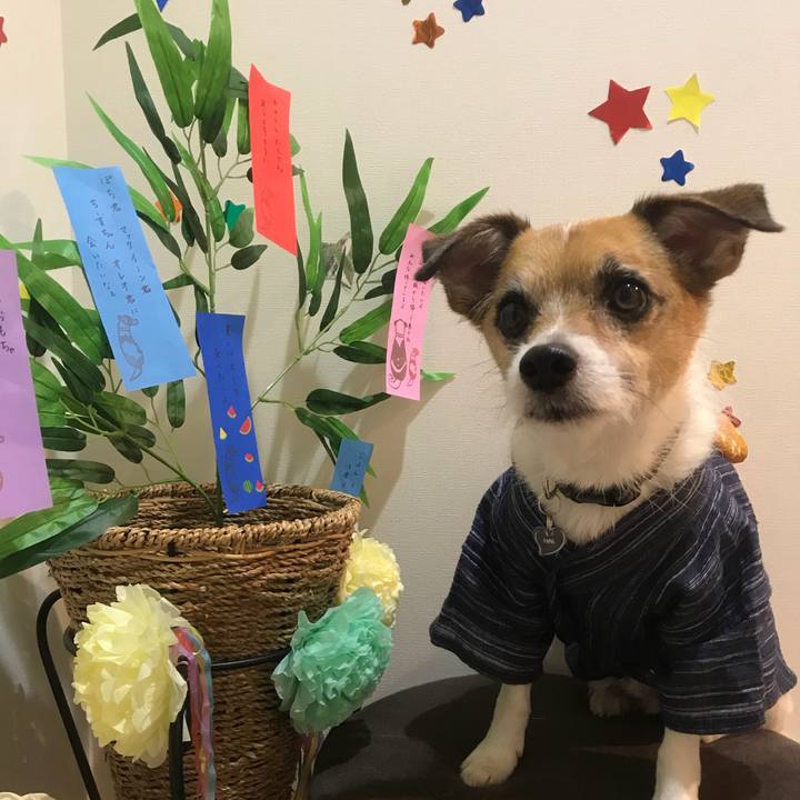 97b35f7b 19ba 41ca 91a5 c573943fdac6 1530958866693