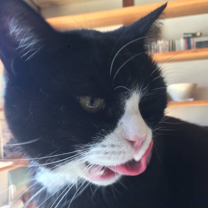 97b365cb 871f 4579 8c28 edd2cde2bb07 1511652945378