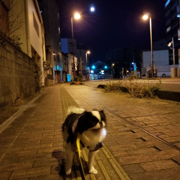 97b369a9 07b6 4843 bba0 034ecc4a6536 1642542412847