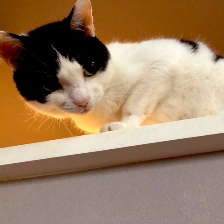 97b3733d 56bd 4fad 9c20 388f16a2c084 1658745448866