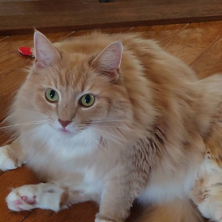 97b37d64 5043 4631 ad1c 42c0be3b9f23 1695871751372