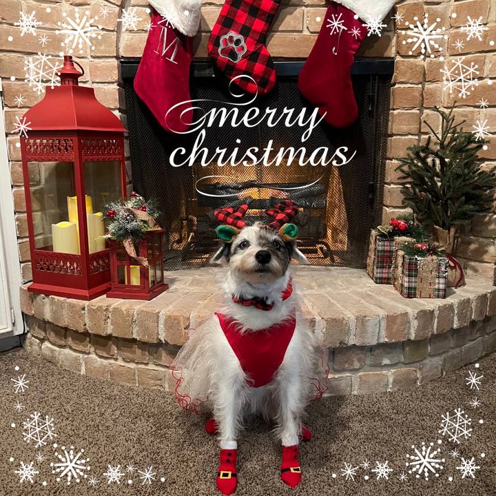 97b3803e 5879 453f 94c4 8bb77f86dd82 1735081087271