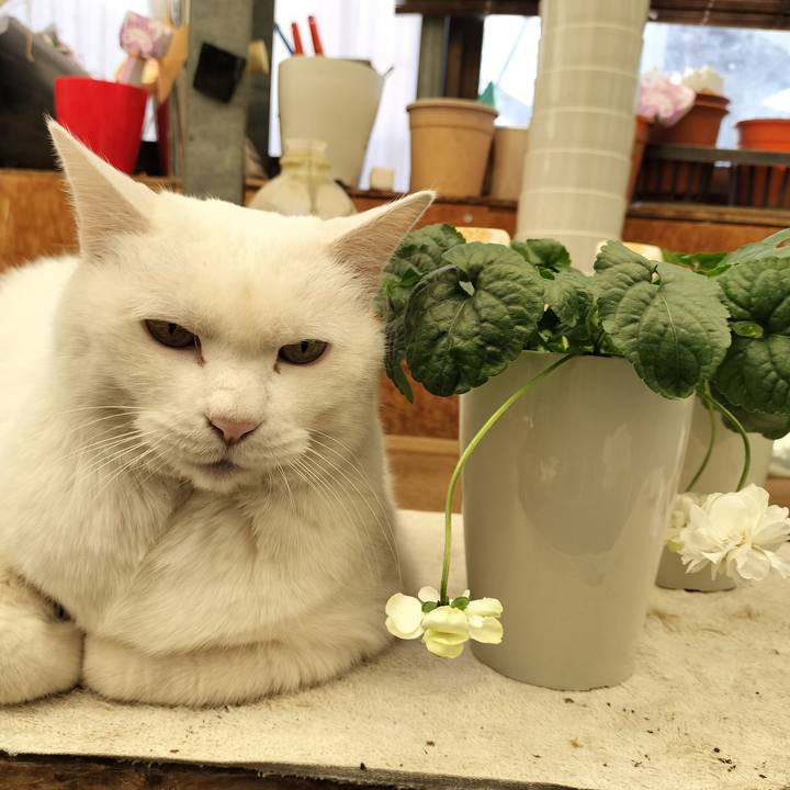 97b38322 241f 4d65 953e 3bf38e152030 1769256694519