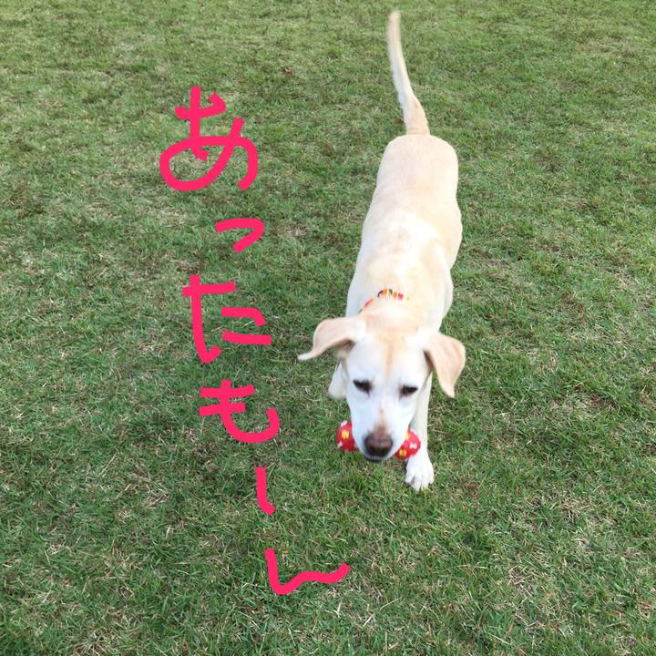 97b38afb 29c4 4172 82fa f3a68a59c48a 1567569085851