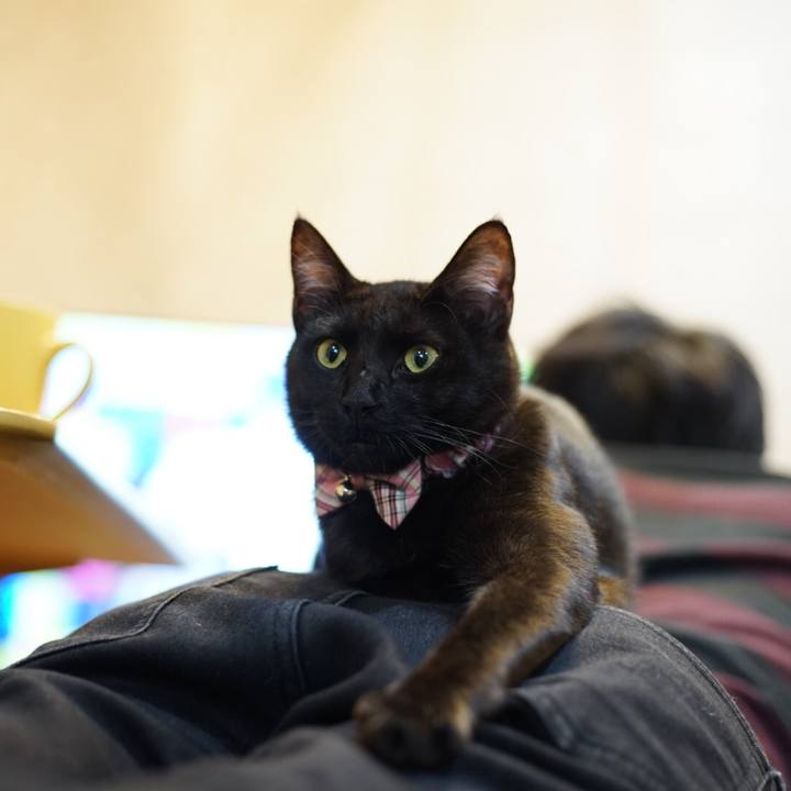 97b38f46 ba56 4361 81b2 575e9ac0f06a 1513779011248