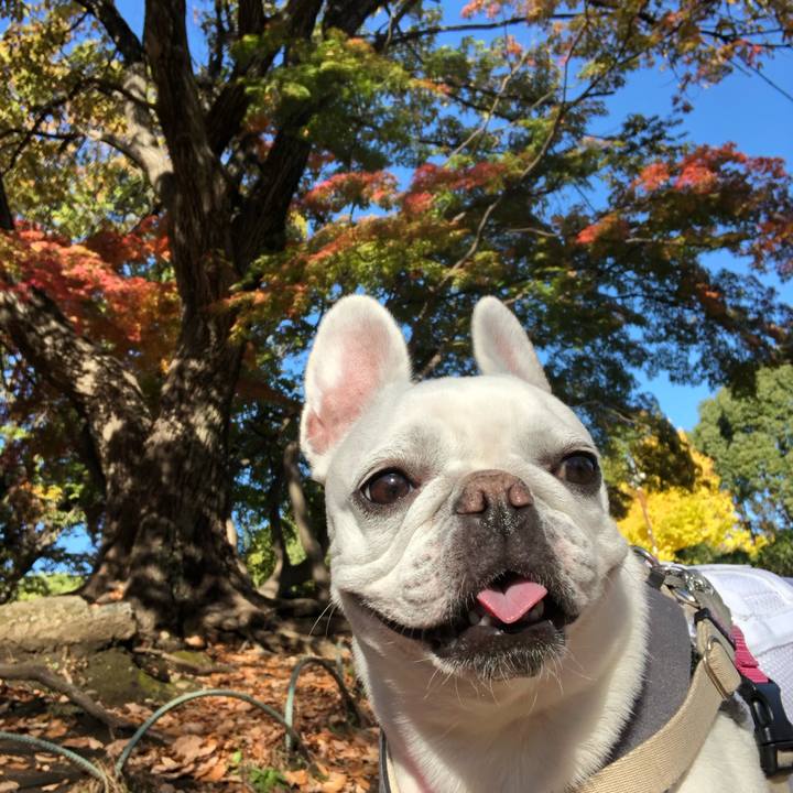 97b3c4ca 04c3 468b 8d04 ffbae6437f20 1637726441350