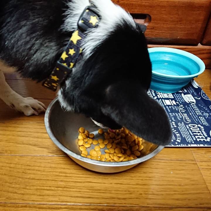 97b41a54 0d68 47f1 816f 5aac1e6d3753 1545005847287