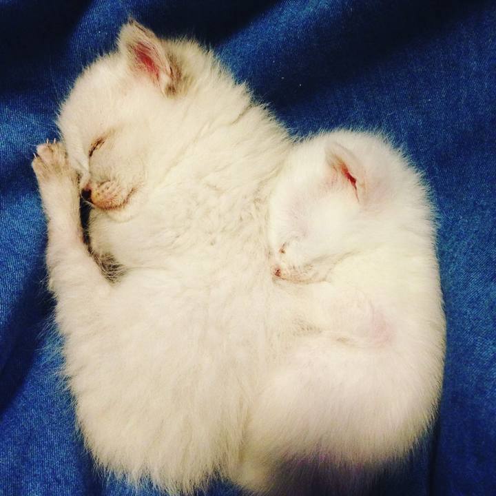 97b43326 2fd4 43f8 a850 e10c98b47d54 1740828360540