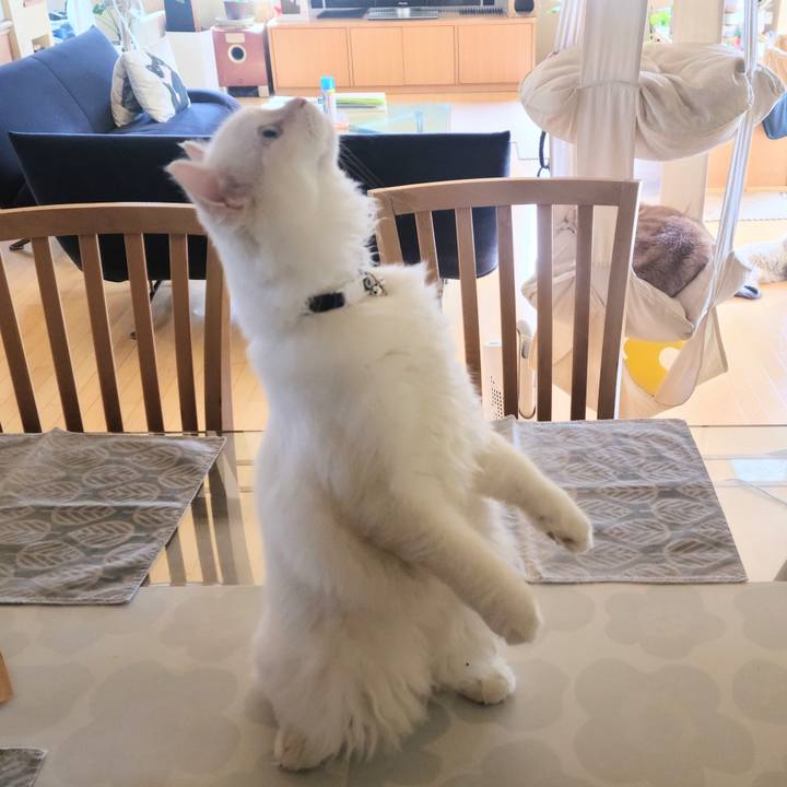 97b44cc5 738a 49a6 b372 7cc7b634372d 1665450071435