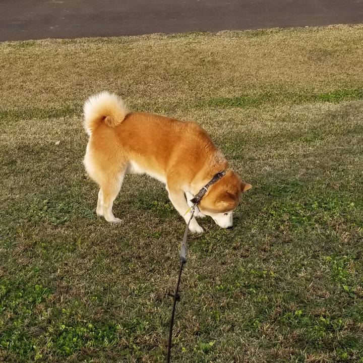 97b46ce9 b9c1 4139 bf3b 7e0de63d944e 1636353452873