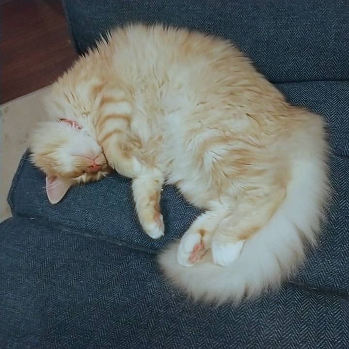 97b47b59 6573 4fe3 ac70 90e9549e1e78 1621873091289