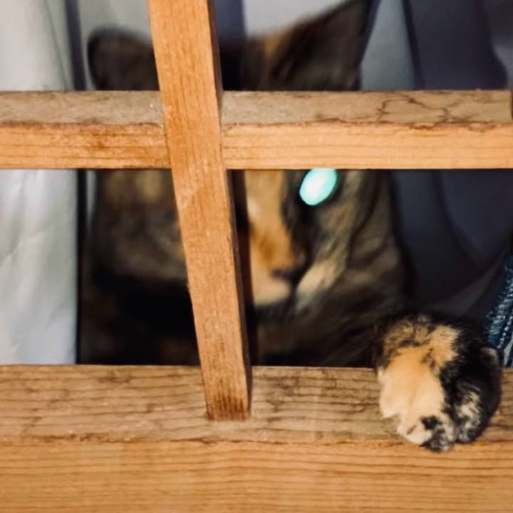 97b4e9b9 c4aa 42a8 adc1 ec3fb7fd9a09 1735156002498