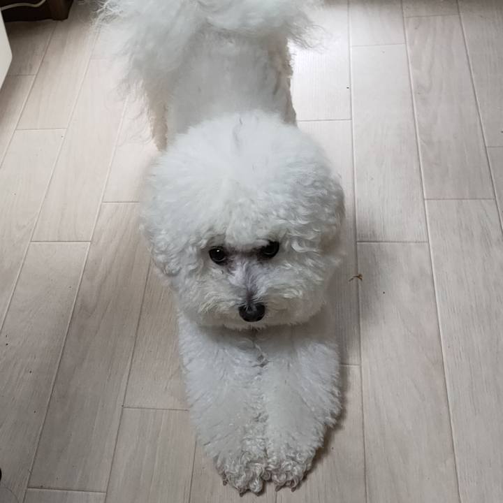 97b4eecb 0bac 43d2 bfce 1d45a4ca5448 1765844956302