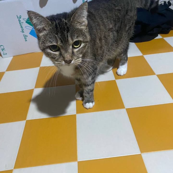 97b56171 6a8b 411d 8475 a86568b2efd4 1758985518173