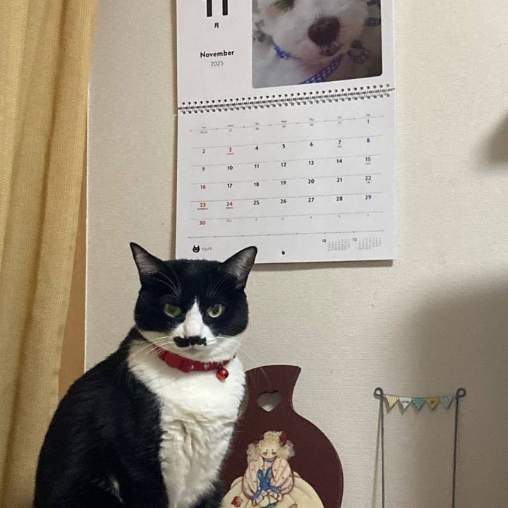 97b5a037 3fe8 4459 8b7f 698aa18251e9 1764251771732