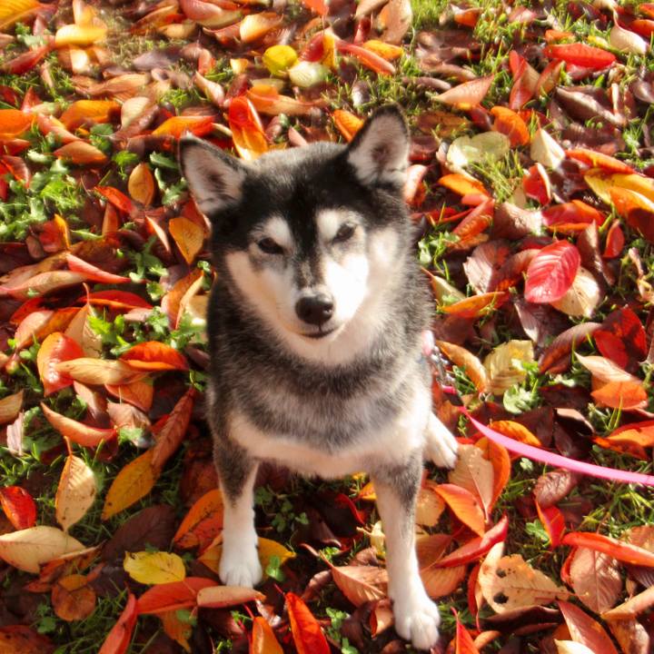 97b5c8e1 80cf 42e9 8148 e1af9a994648 1699517289944