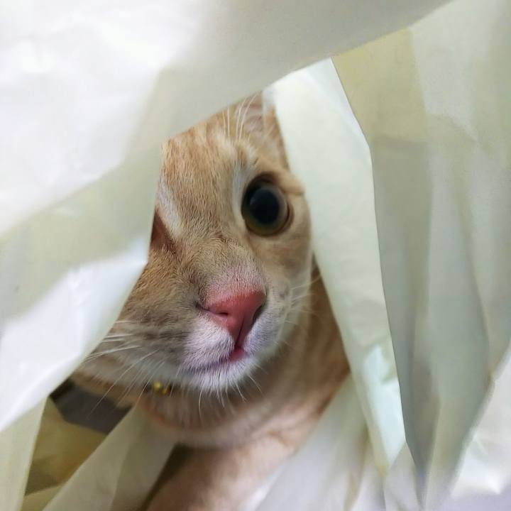 97b5c9e8 9481 47d6 9a11 d47a9e28b887 1555232141919