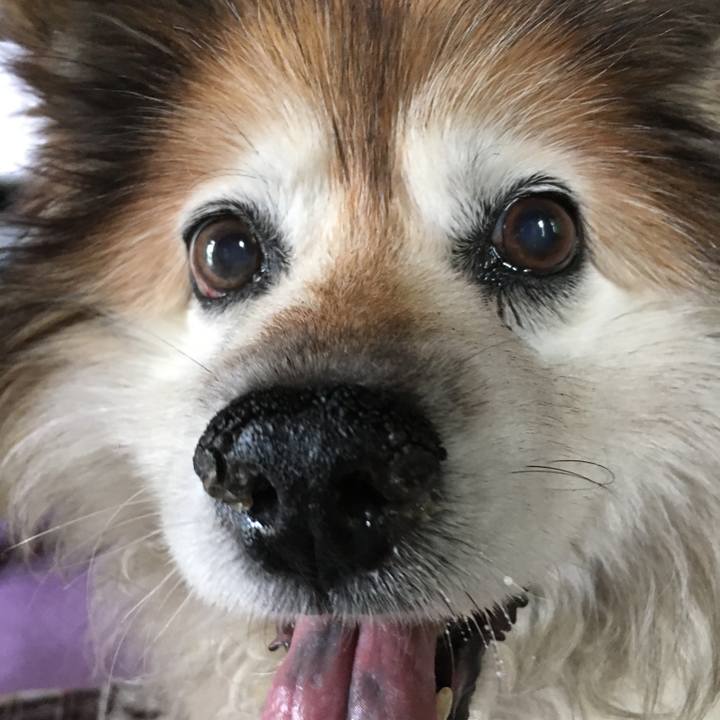 97b5e679 5bc0 4208 83a3 b0d558a3580c 1579093021941