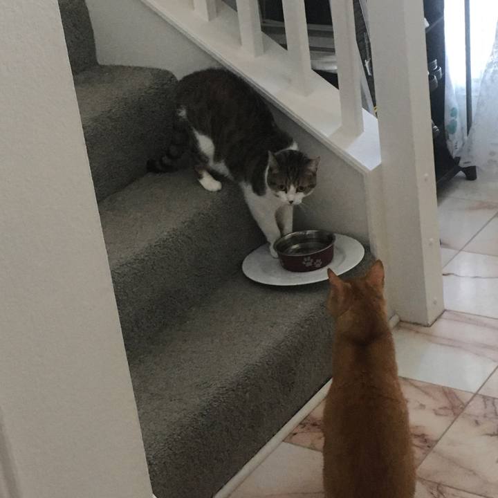 97b601e8 1d87 4bda 89d9 b651bb9e6933 1662078011708