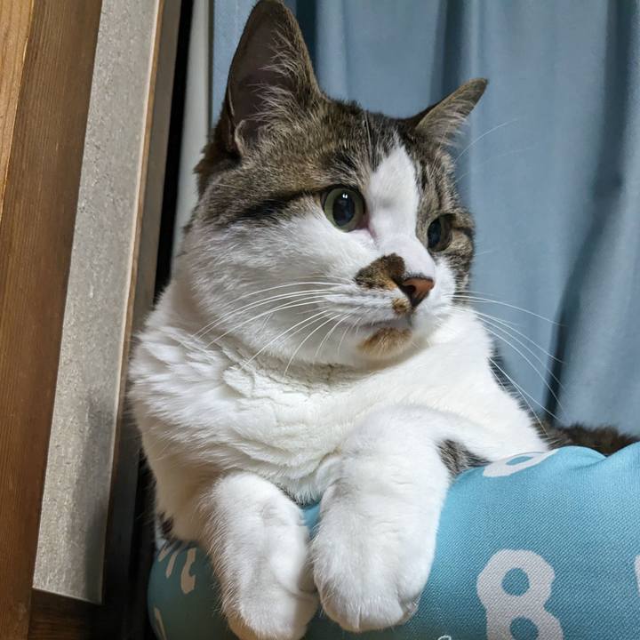 97b61ed6 64a9 4a1c 9024 d8c6fca55555 1716554432709