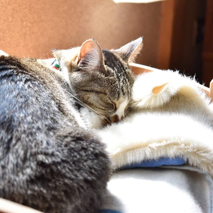 97b61eee 8522 4f3e b870 af114500b032 1587277226482