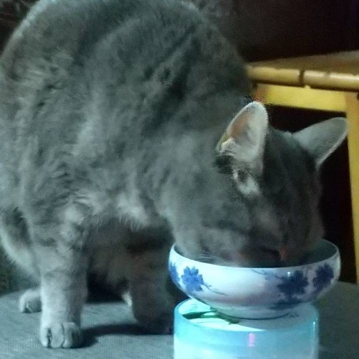 97b675b2 b23e 40f3 aa22 04ea52232690 1680558680644