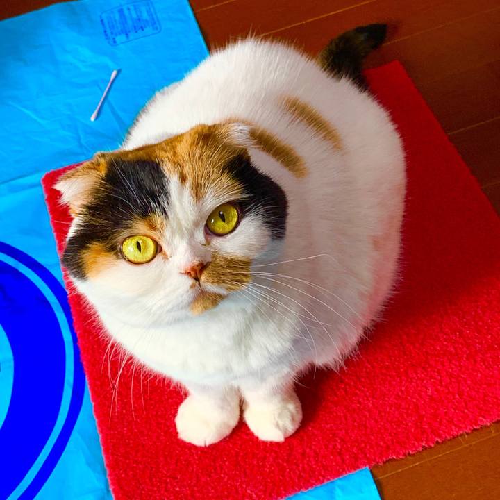 97b683e3 ec5f 4084 964d 8fcc5fb35c80 1562628610829