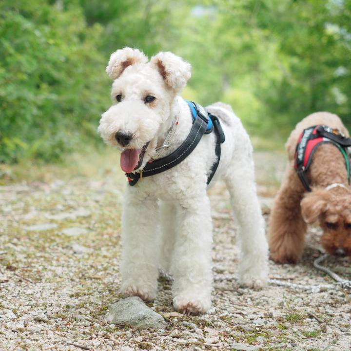 97b689aa b403 4862 a26a 16fd1676b4fa 1597244398101