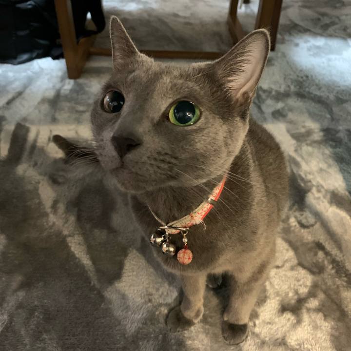 97b6c103 b133 4ca5 9925 4d2836f06c8a 1611270027579