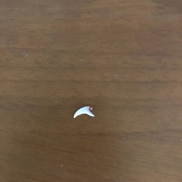 97b6d861 69d8 4a75 931b d3631c15c2ec 1515884367599