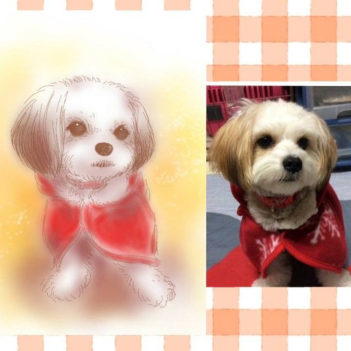 97b6e069 f697 4e0d b269 df51e4b382f2 1518784584211