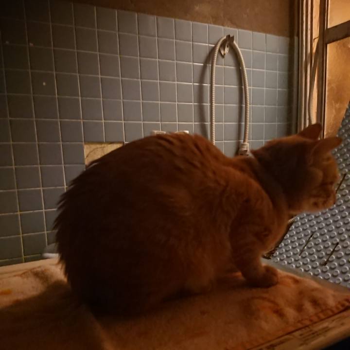 97b6edbb 51b0 41b7 8f57 93fc07098b57 1637058741764