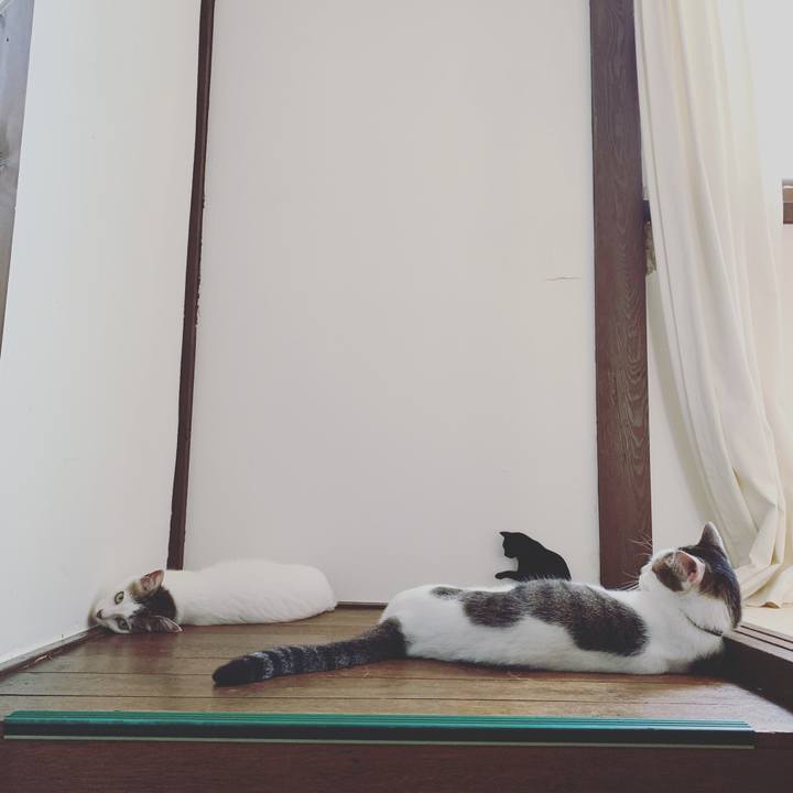 97b6fb6a 3c80 417c b9ad f5d2561df99a 1565319701548