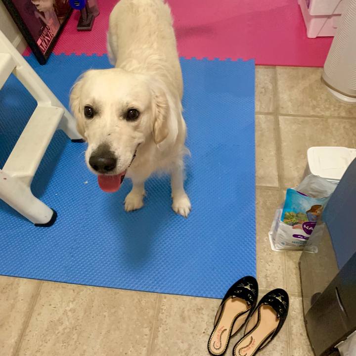 97b71e39 007a 4707 8c91 34cf35b2767b 1564871888695