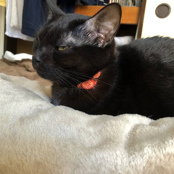 97b72baa ad6a 48e4 a921 2315015c9ff4 1545364735549