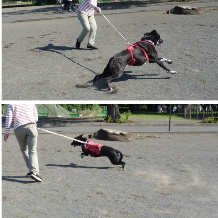 97b7678d 9841 4006 b63d f68499c4ed1f 1683679038748