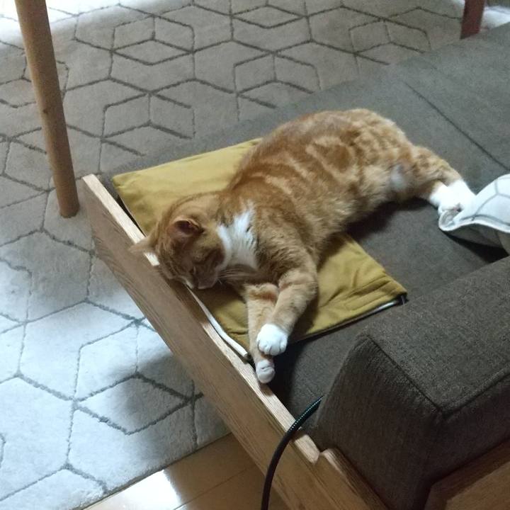 97b78047 5c55 4012 9ac3 7a356be9cbdf 1710731445629