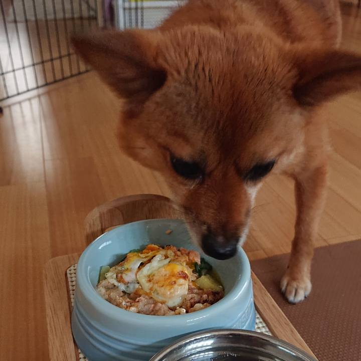 97b7dfbf f877 4dc7 a74a d42a90ae5d70 1562684904536