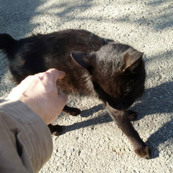 97b80a3d 0db5 487a acb3 06467489b136 1510886087585