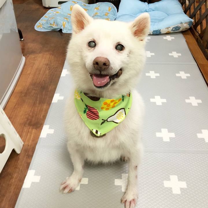 97b8345c c425 49f0 80c9 134993d56c0d 1656394782723