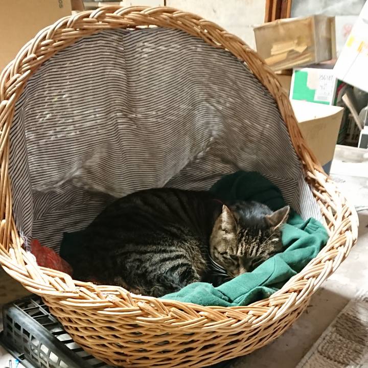 97b85f6e fb93 423b b32c 5893d1683318 1642715800000