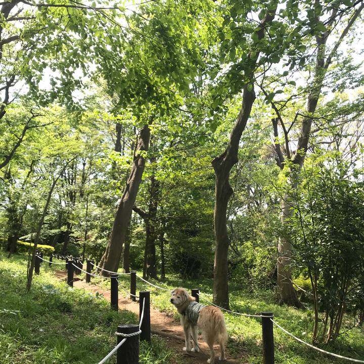 97b864ef baa8 41b3 b1bc a73ba98d6d0f 1587893023700