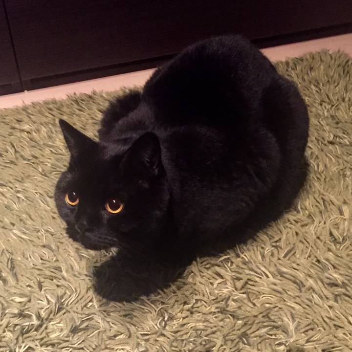 97b885f8 ec47 4465 bb2e ab3995449b72 1542713701375