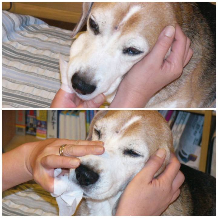 97b89d40 a314 44e7 96be 402531a23f08 1646526838490