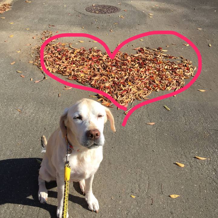 97b8ddec 59dd 4a64 a3e7 75fd692ff806 1510028283429