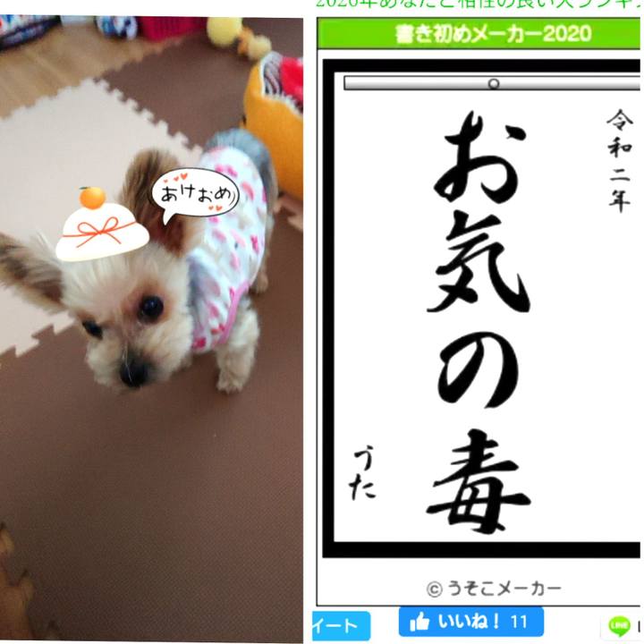 97b8e647 f45b 4cbe b6a3 b55fec5273c1 1577962367134