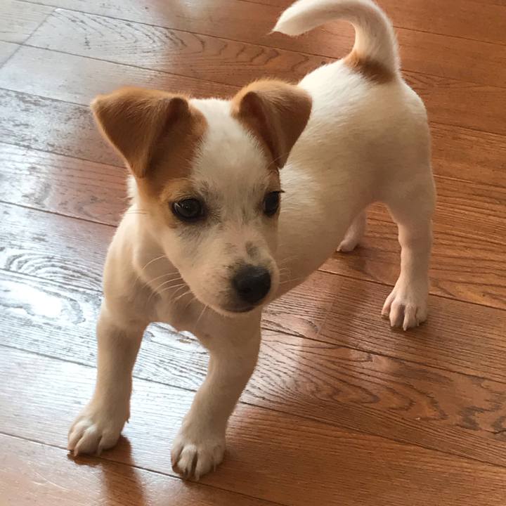 97b90972 5fd7 42dc 8d5b 30738fed7b5e 1542497086784