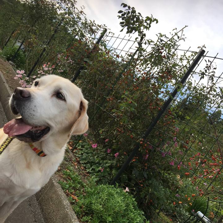 97b91da7 0a60 40a8 825c 578cc85efd32 1539672174961