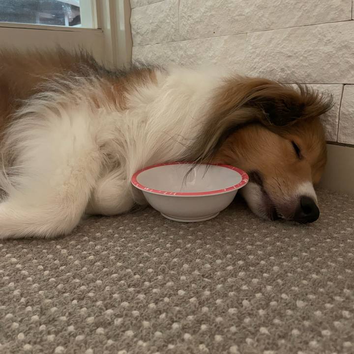 97b934fb cf69 449d 8e31 d8a9805bf06a 1656755948360