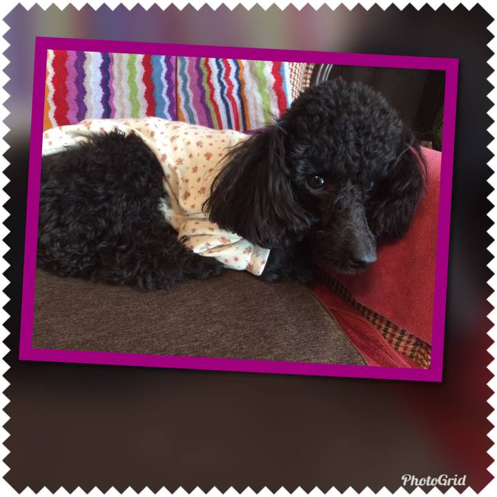 97b93bb5 74f7 41dc aaeb b5581f9267ab 1547008028199